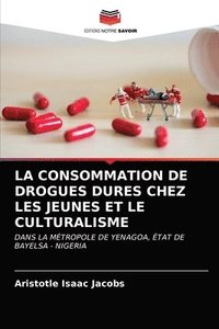 bokomslag La Consommation de Drogues Dures Chez Les Jeunes Et Le Culturalisme