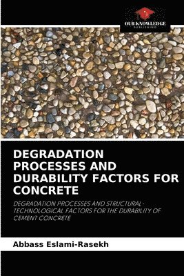 bokomslag Degradation Processes and Durability Factors for Concrete