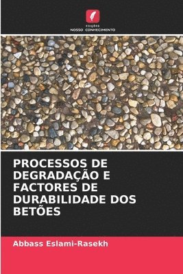 bokomslag Processos de Degradao E Factores de Durabilidade DOS Betes