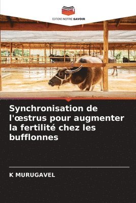 bokomslag Synchronisation de l'oestrus pour augmenter la fertilit chez les bufflonnes