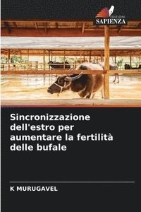 bokomslag Sincronizzazione dell'estro per aumentare la fertilità delle bufale