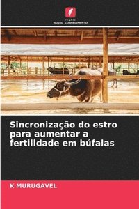 bokomslag Sincronização do estro para aumentar a fertilidade em búfalas