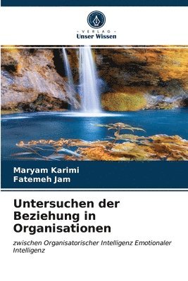 Untersuchen der Beziehung in Organisationen 1