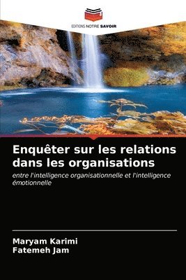 bokomslag Enquter sur les relations dans les organisations