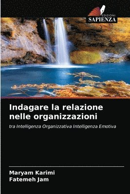 bokomslag Indagare la relazione nelle organizzazioni