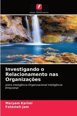 Investigando o Relacionamento nas Organizaes 1