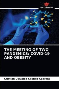 bokomslag The Meeting of Two Pandemics