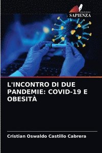 bokomslag L'Incontro Di Due Pandemie