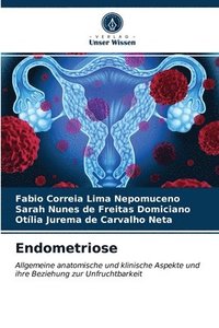 bokomslag Endometriose