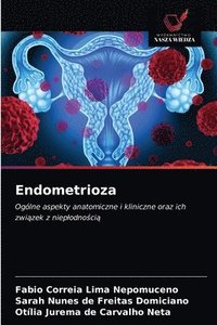 bokomslag Endometrioza