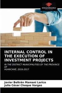 bokomslag Internal Control in the Execution of Investment Projects