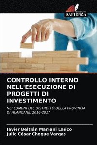 bokomslag Controllo Interno Nell'esecuzione Di Progetti Di Investimento