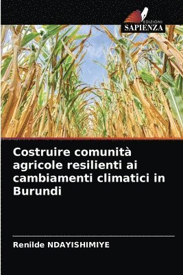 Costruire comunit agricole resilienti ai cambiamenti climatici in Burundi 1