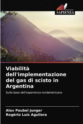 bokomslag Viabilita dell'implementazione del gas di scisto in Argentina