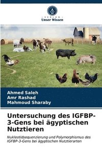 bokomslag Untersuchung des IGFBP-3-Gens bei gyptischen Nutztieren