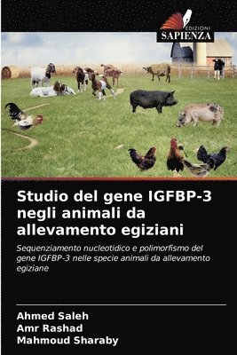 Studio del gene IGFBP-3 negli animali da allevamento egiziani 1