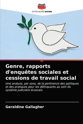 bokomslag Genre, rapports d'enqutes sociales et cessions de travail social