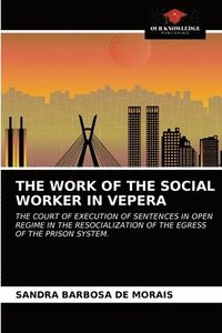 bokomslag The Work of the Social Worker in Vepera