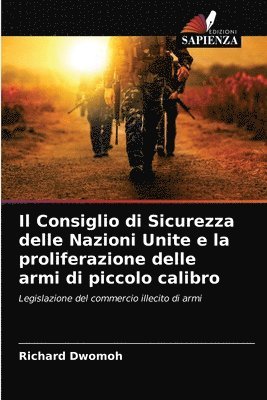 bokomslag Il Consiglio di Sicurezza delle Nazioni Unite e la proliferazione delle armi di piccolo calibro