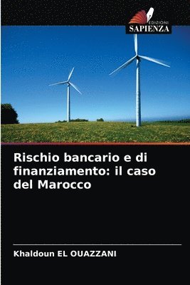 Rischio bancario e di finanziamento 1