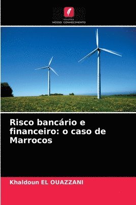 bokomslag Risco bancario e financeiro