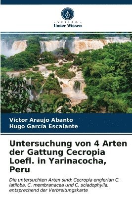Untersuchung von 4 Arten der Gattung Cecropia Loefl. in Yarinacocha, Peru 1