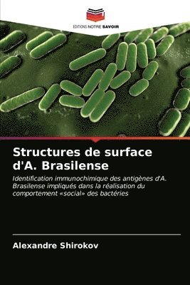 Structures de surface d'A. Brasilense 1