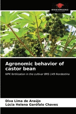 Agronomic behavior of castor bean 1