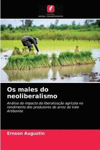 bokomslag Os males do neoliberalismo