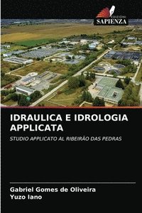 bokomslag Idraulica E Idrologia Applicata