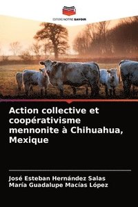 bokomslag Action collective et cooperativisme mennonite a Chihuahua, Mexique