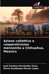 bokomslag Azione collettiva e cooperativismo mennonita a Chihuahua, Messico