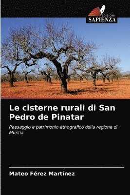 bokomslag Le cisterne rurali di San Pedro de Pinatar