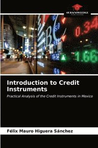 bokomslag Introduction to Credit Instruments