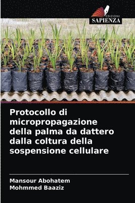 bokomslag Protocollo di micropropagazione della palma da dattero dalla coltura della sospensione cellulare