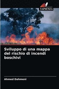bokomslag Sviluppo di una mappa del rischio di incendi boschivi