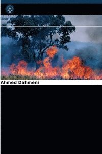 bokomslag Entwicklung einer Waldbrandgefahrenkarte