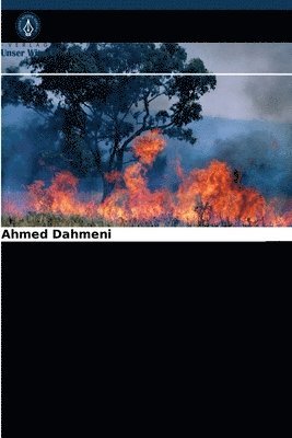 Entwicklung einer Waldbrandgefahrenkarte 1