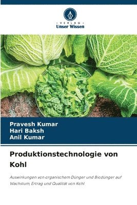 Pravesh Kumar, Hari Baksh, Anil Kumar - Produktionstechnologie von Kohl, Häftad