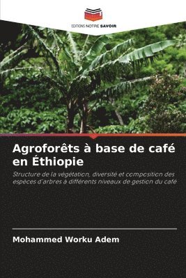 Agroforts  base de caf en thiopie 1