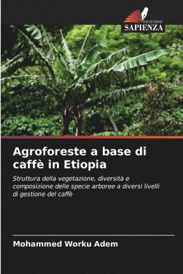 bokomslag Agroforeste a base di caff in Etiopia