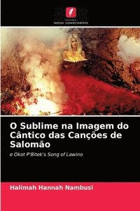bokomslag O Sublime na Imagem do Cantico das Cancoes de Salomao