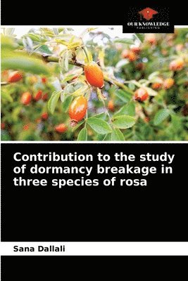 Contribution to the study of dormancy breakage in three species of rosa 1