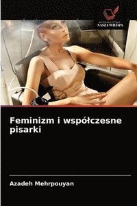 bokomslag Feminizm i wspolczesne pisarki