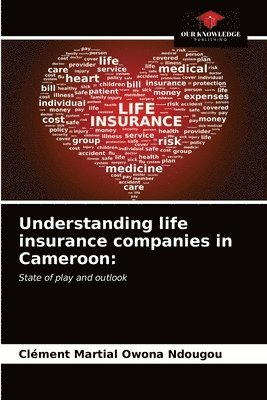 Understanding life insurance companies in Cameroon 1