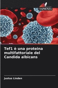 bokomslag Tef1 è una proteina multifattoriale del Candida albicans