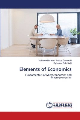 bokomslag Elements of Economics