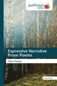 bokomslag Expressive Narrative Prose Poems