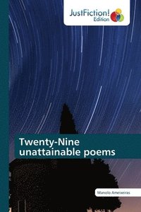 bokomslag Twenty-Nine unattainable poems