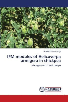 Akhilesh Kumar Singh - IPM modules of Helicoverpa armigera in chickpea, Häftad